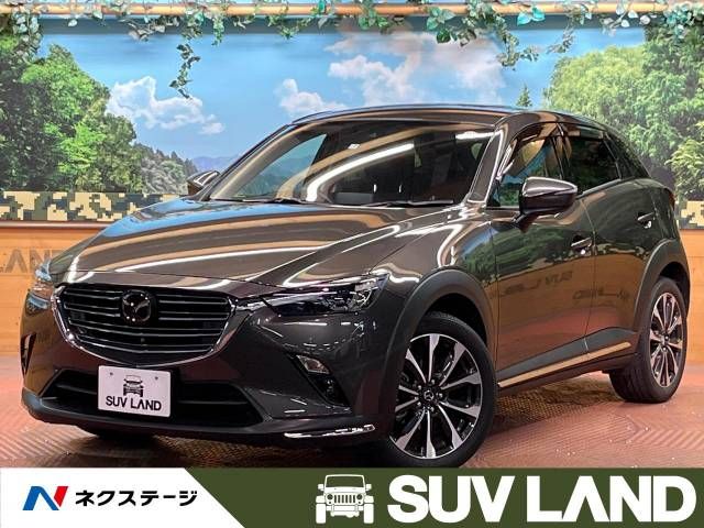 Mazda CX-3 2019-02 14206-0