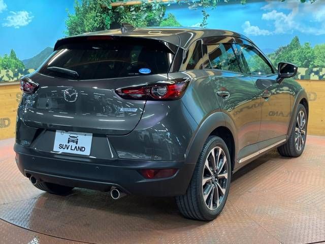 Mazda CX-3 2019-02 14206-17