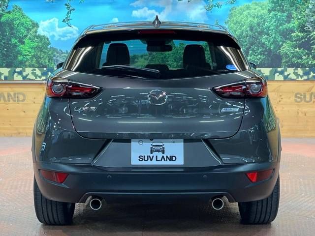 Mazda CX-3 2019-02 14206-15