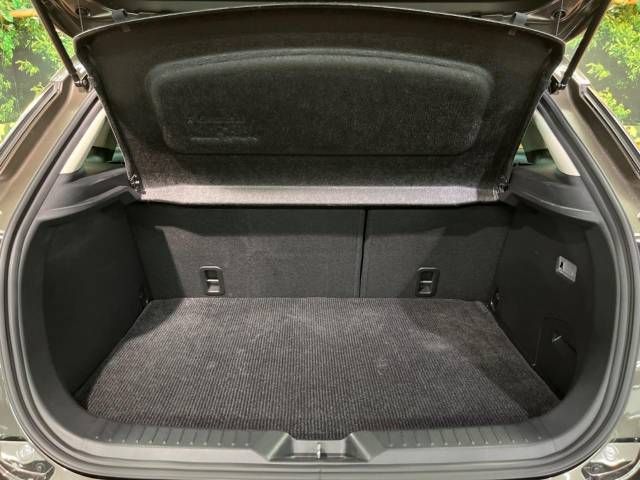 Mazda CX-3 2019-02 14206-11