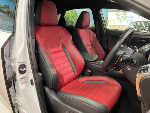 Lexus NX 2018-03 185652-11