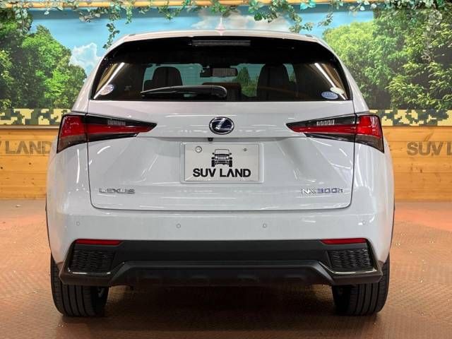 Lexus NX 2018-03 185652-17