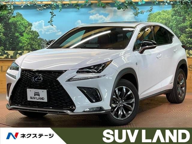 Lexus NX 2018-03 185652-0
