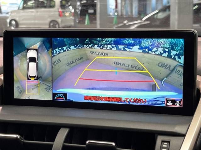 Lexus NX 2018-03 185652-3
