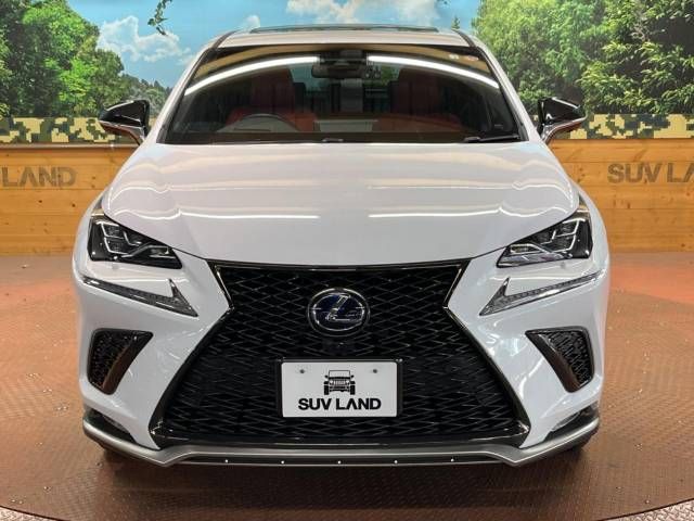 Lexus NX 2018-03 185652-16