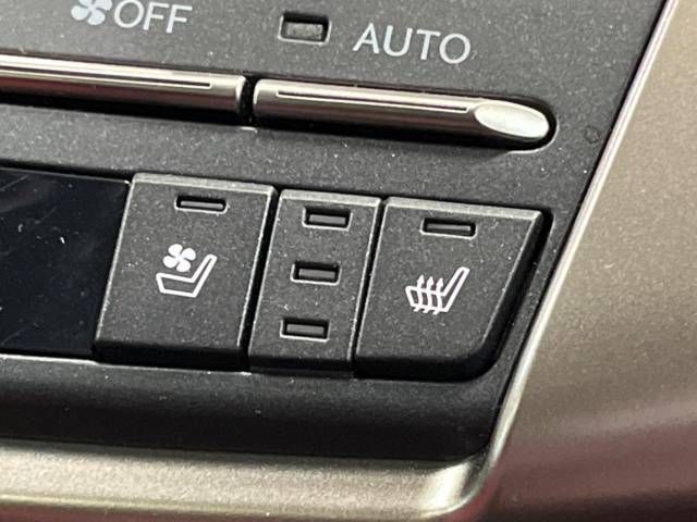 Lexus NX 2018-03 185652-9