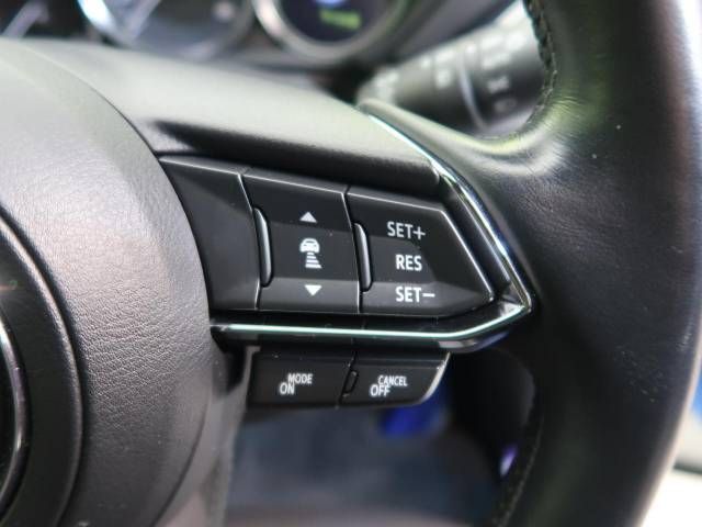 Mazda CX-8 2018-01 194681-8