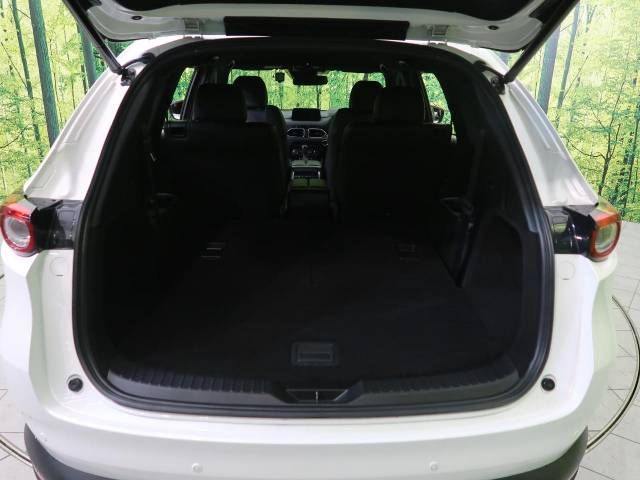Mazda CX-8 2018-01 194681-14