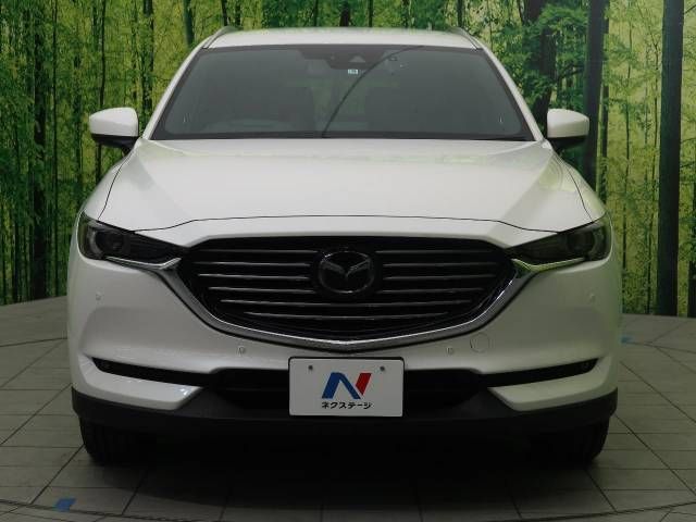 Mazda CX-8 2018-01 194681-17