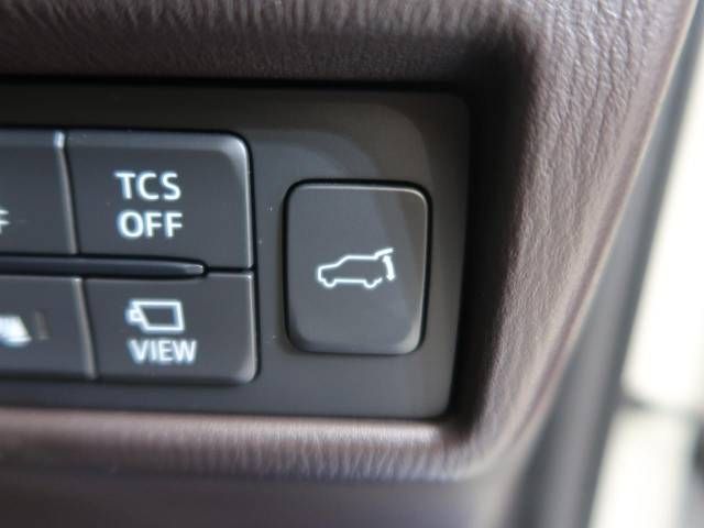 Mazda CX-8 2018-01 194681-10