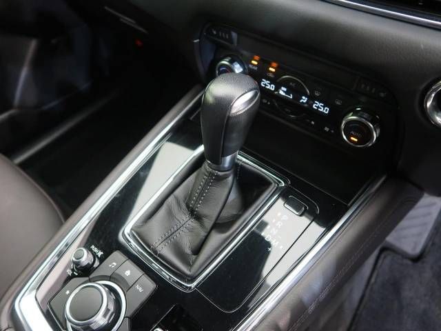 Mazda CX-8 2018-01 194681-19