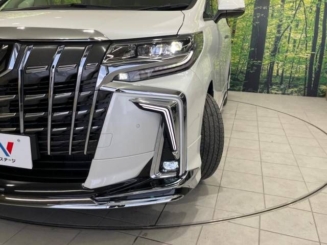 Toyota ALPHARD 2021-03 184519-13
