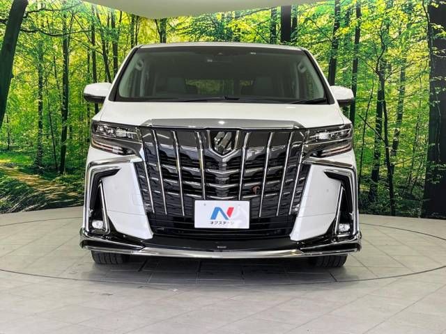 Toyota ALPHARD 2021-03 184519-16