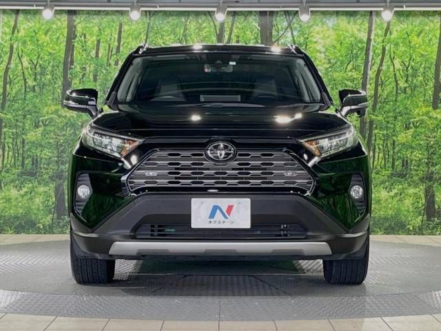 Toyota RAV4 2019-04 11515-14