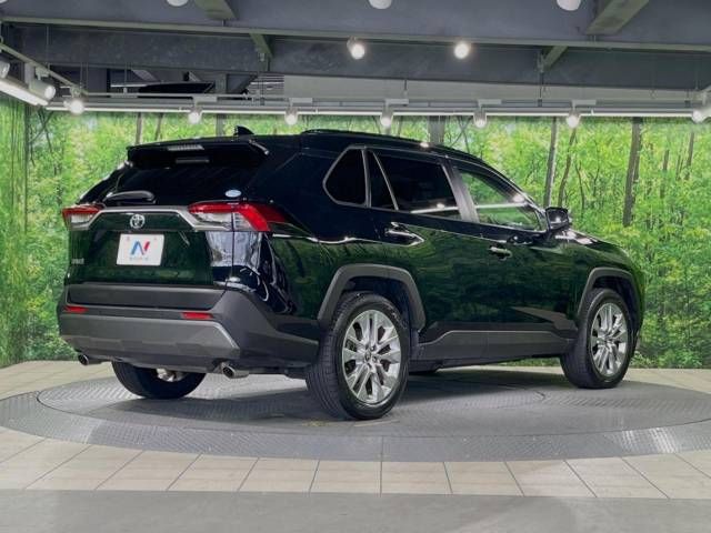 Toyota RAV4 2019-04 11515-17