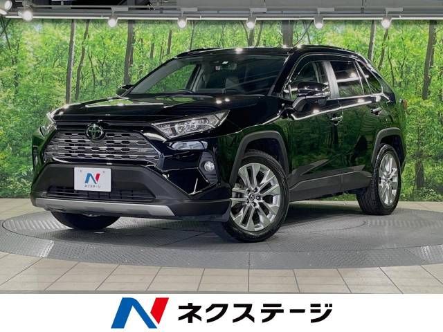 Toyota RAV4 2019-04 11515-0