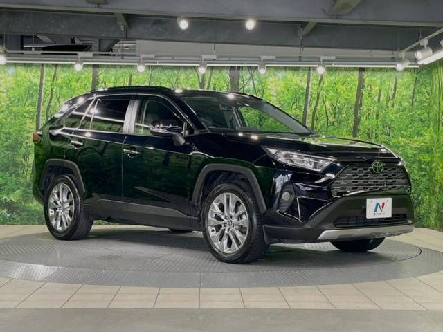 Toyota RAV4 2019-04 11515-16