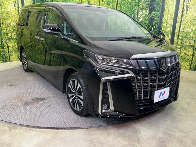 Toyota ALPHARD 2020-12 9173-17