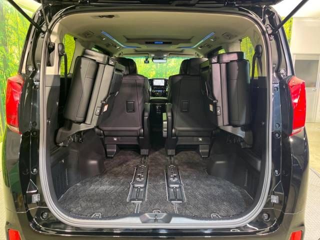 Toyota ALPHARD 2020-12 9173-11