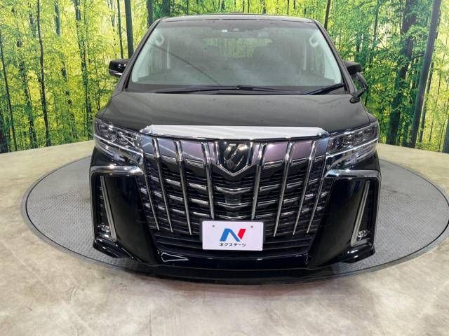 Toyota ALPHARD 2020-12 9173-15