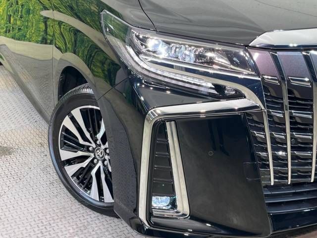 Toyota ALPHARD 2020-12 9173-13