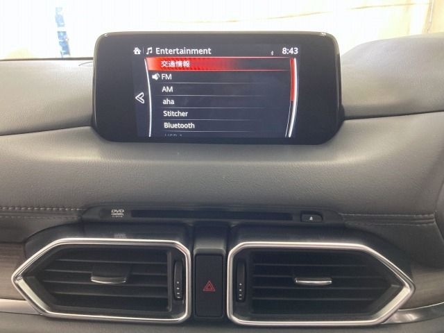 Mazda CX-8 2018-07 20395-21