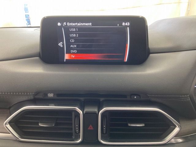 Mazda CX-8 2018-07 20395-22