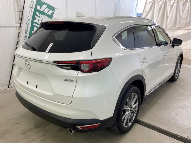 Mazda CX-8 2018-07 20395-3