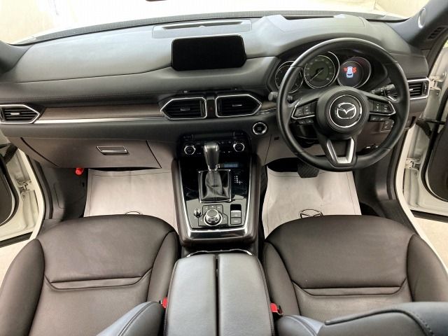 Mazda CX-8 2018-07 20395-7