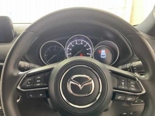 Mazda CX-8 2018-07 20395-26