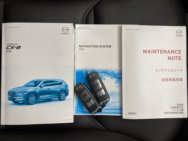 Mazda CX-8 2018-07 20395-28