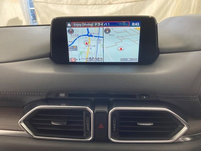 Mazda CX-8 2018-07 20395-19