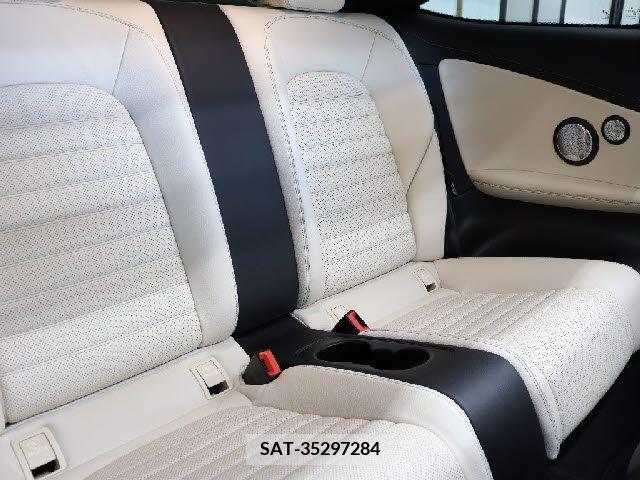 Amg C-CLASS 2018-09 319379-18