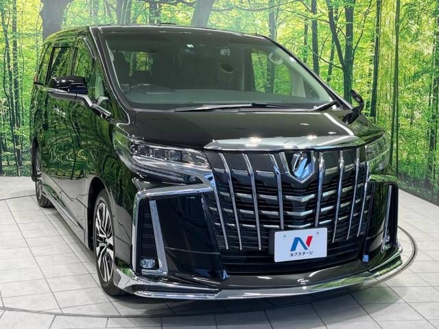 Toyota ALPHARD 2022-06 195856-16