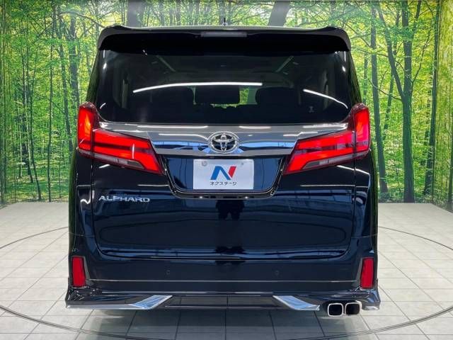 Toyota ALPHARD 2022-06 195856-15