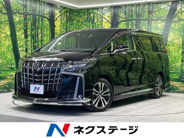 Toyota ALPHARD 2022-06 195856-0