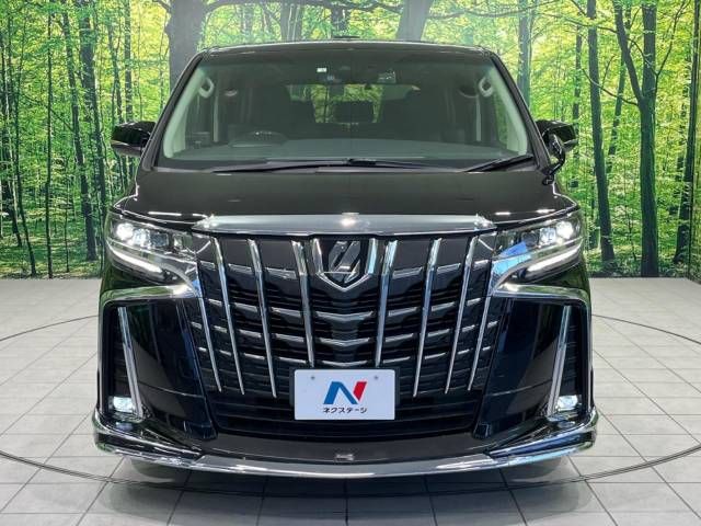 Toyota ALPHARD 2022-06 195856-14