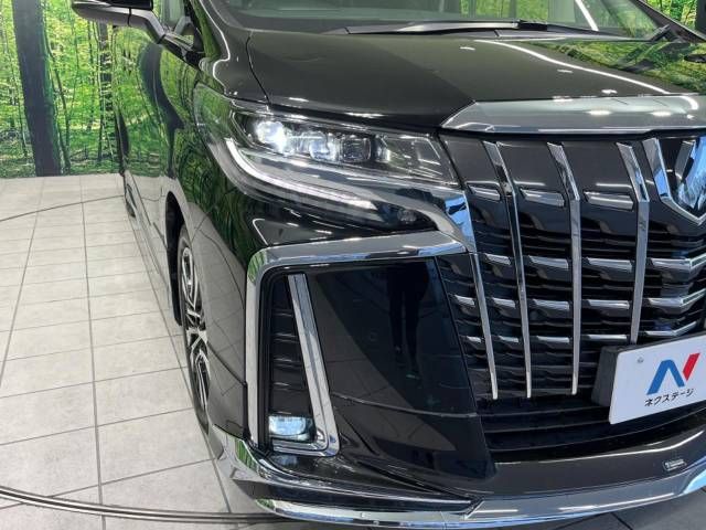 Toyota ALPHARD 2022-06 195856-12