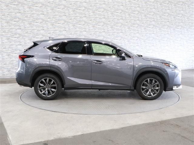 Lexus NX 2015-08 17252-6