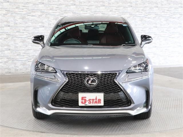 Lexus NX 2015-08 17252-5