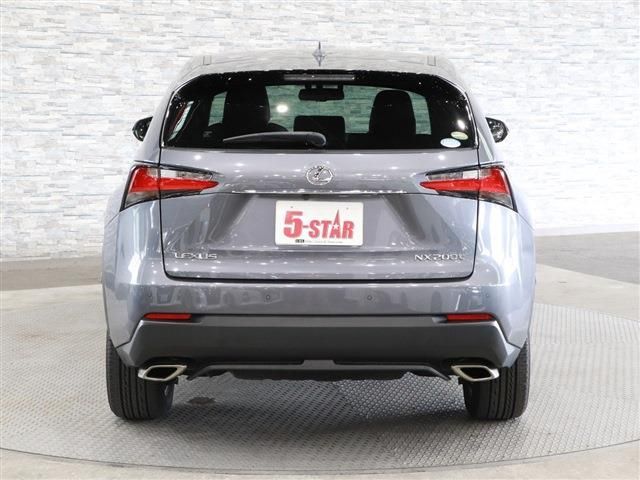 Lexus NX 2015-08 17252-7