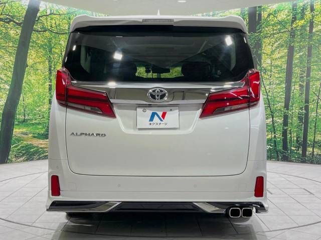 Toyota ALPHARD 2018-03 189459-15