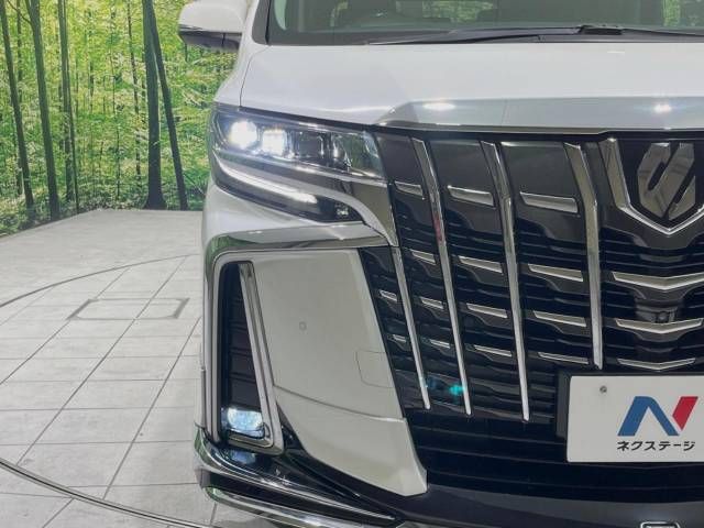 Toyota ALPHARD 2018-03 189459-12