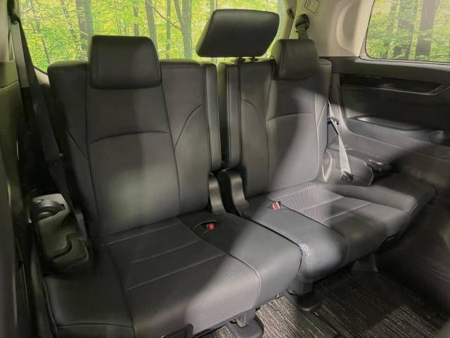 Toyota ALPHARD 2018-03 189459-10
