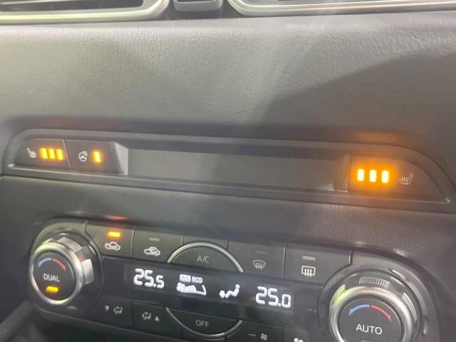 Mazda CX-5 2017-03 12868-7