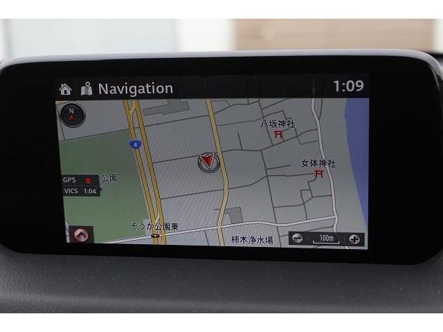 Mazda CX-8 2019-09 195084-2