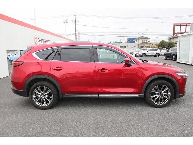 Mazda CX-8 2019-09 195084-8