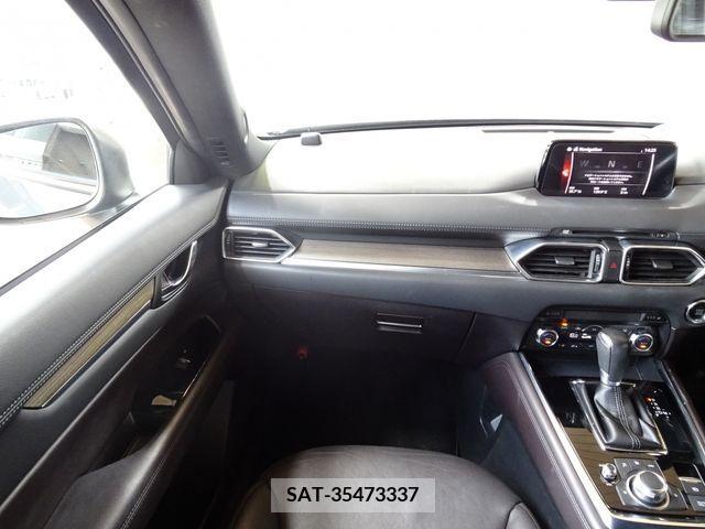 Mazda CX-8 2018-03 381833-11