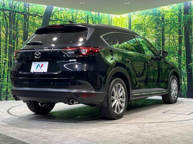 Mazda CX-8 2018-10 195669-17