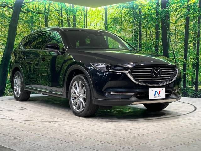 Mazda CX-8 2018-10 195669-16